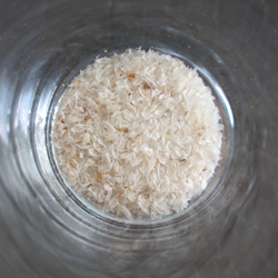 Psyllium blond tout sec