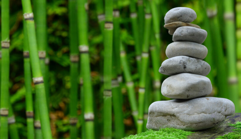 Soirée « Zen avant l’été », mardi 25 juin 2019