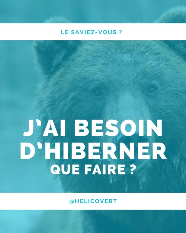 Avez vous une furieuse envie d'hiberner en ce moment ? 🐻

Si oui, sachez qu’elle peut être liée à plein de besoins ignorés 🥸 En voici une liste non exhaustive pour vous aider à y voir clair. Pour mettre toutes les chances de votre côté pour profiter de la saison froide ❄

---
Je suis Sarah Ferrieu Nonnenmacher, naturopathe et conseillère en symptothermie 🌸
J'accompagne les femmes à se reconnecter à leurs super-pouvoirs tout au long de la vie.
---

#fatigue #naturopathie #vitalité #helicovert #changementdesaison