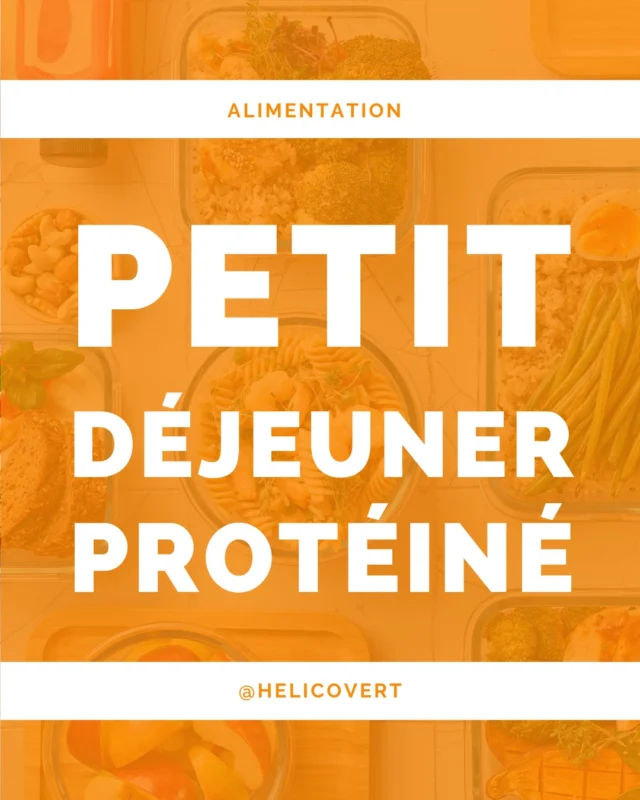 🤩 Connaissez vous les bienfaits du petit déjeuner protéiné ? En voici une liste non exhaustive et quelques exemples à savourer pour des matinées en pleine forme.

Quel est votre petit déjeuner préféré ?

---
Je suis Sarah Ferrieu Nonnenmacher, naturopathe et conseillère en symptothermie 🌸
J'accompagne les femmes à se reconnecter à leurs super-pouvoirs tout au long de la vie.
---

#petitdéjeunerprotéiné #petitdejeunersalé #petitdéjeunerhealthy #naturopathie #helicovert